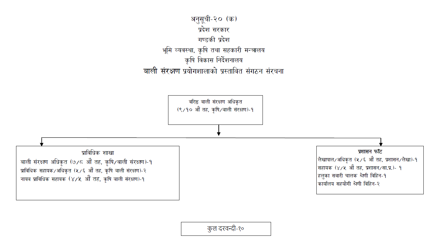 बाली संरक्षण प्रयोगशाला, पोखराको हालको संगठन संरचना